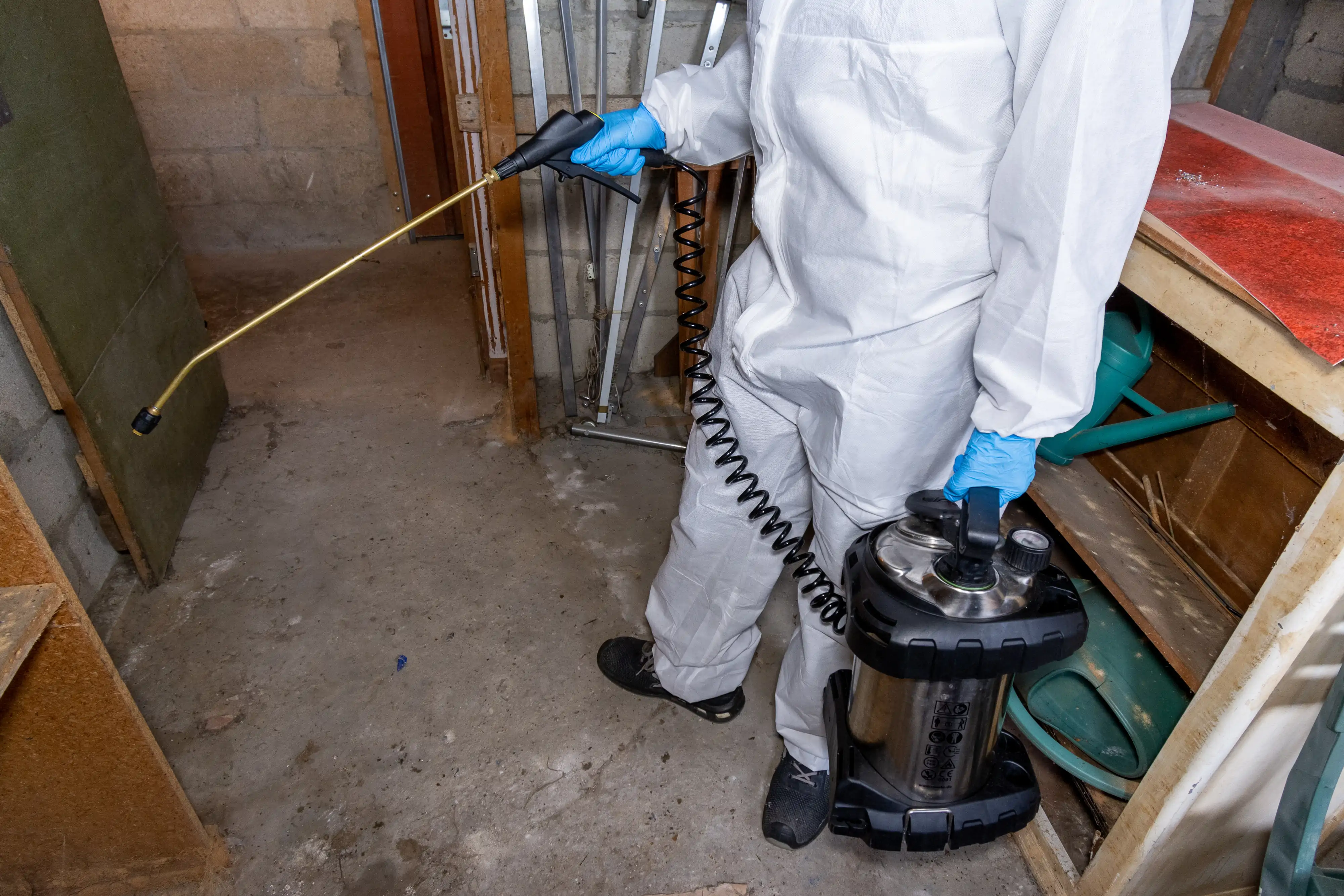 Dératisation au Mans et en Sarthe (72) : une solution efficace et durable contre les rongeurs